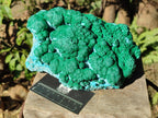 Natural Large Botryoidal Malacolla Specimen x 1 From Kolwezi, Congo - Toprock Gemstones and Minerals 