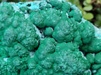 Natural Large Botryoidal Malacolla Specimen x 1 From Kolwezi, Congo - Toprock Gemstones and Minerals 