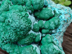Natural Large Botryoidal Malacolla Specimen x 1 From Kolwezi, Congo - Toprock Gemstones and Minerals 