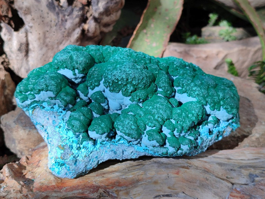 Natural Large Botryoidal Malacolla Specimen x 1 From Kolwezi, Congo - Toprock Gemstones and Minerals 