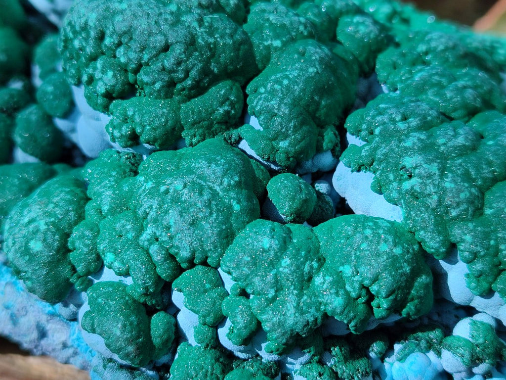 Natural Large Botryoidal Malacolla Specimen x 1 From Kolwezi, Congo - Toprock Gemstones and Minerals 