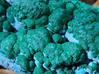 Natural Large Botryoidal Malacolla Specimen x 1 From Kolwezi, Congo - Toprock Gemstones and Minerals 