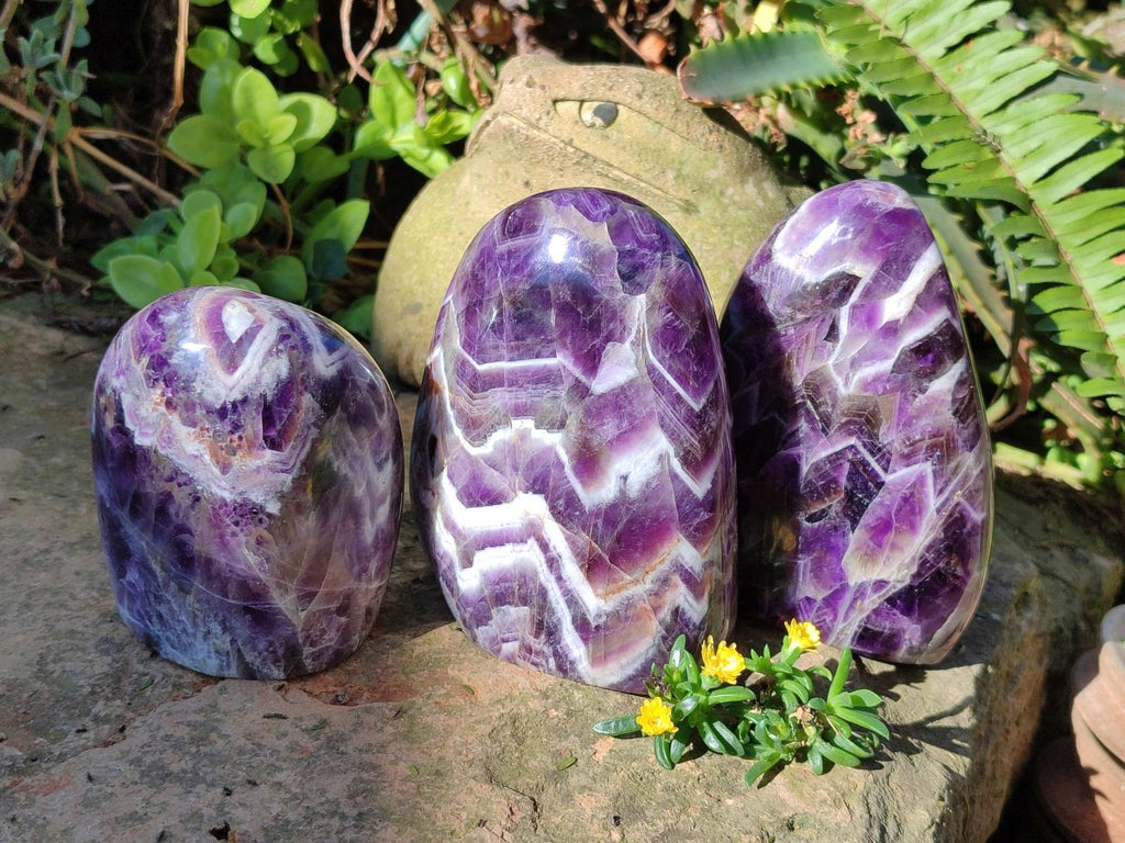 Polished Chevron Amethyst Standing Display Pieces x 3 From Zambia - Toprock Gemstones and Minerals 