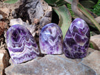 Polished Chevron Amethyst Standing Display Pieces x 3 From Zambia - Toprock Gemstones and Minerals 