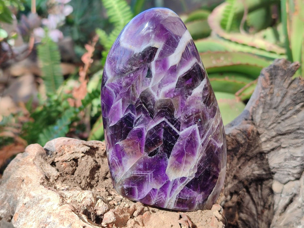 Polished Chevron Amethyst Standing Display Pieces x 3 From Zambia - Toprock Gemstones and Minerals 