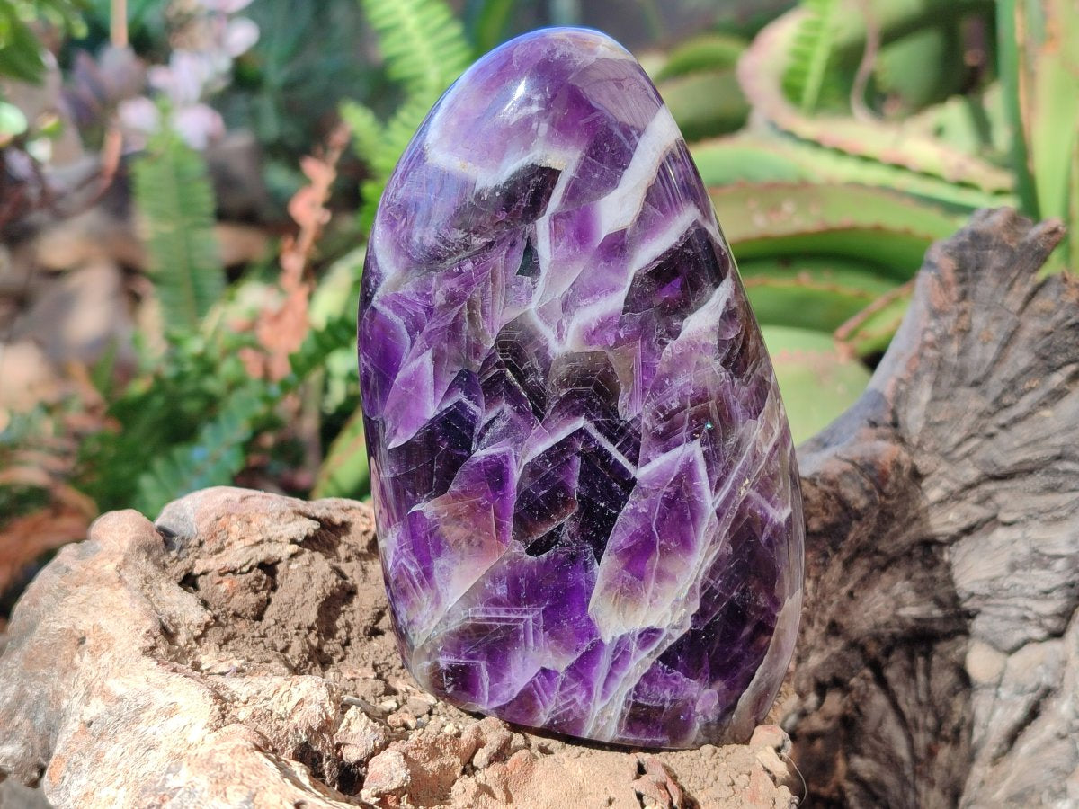 Polished Chevron Amethyst Standing Display Pieces x 3 From Zambia - Toprock Gemstones and Minerals 
