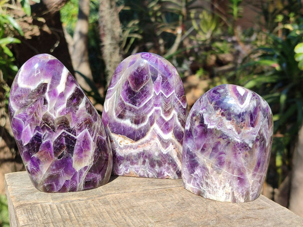 Polished Chevron Amethyst Standing Display Pieces x 3 From Zambia - Toprock Gemstones and Minerals 