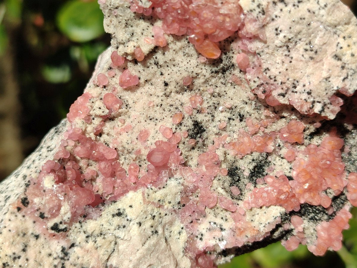 Natural Spherocobaltite Specimens x 4 From Musonoi Mine, Congo - Toprock Gemstones and Minerals 