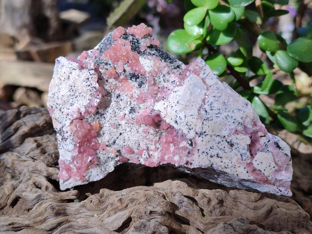 Natural Spherocobaltite Specimens x 4 From Musonoi Mine, Congo - Toprock Gemstones and Minerals 