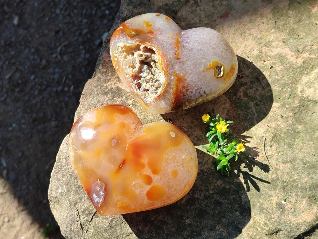 Polished Large Lemur Island Agate Hearts x 2 From Nosy Varika, Madagascar - Toprock Gemstones and Minerals 
