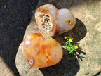 Polished Large Lemur Island Agate Hearts x 2 From Nosy Varika, Madagascar - Toprock Gemstones and Minerals 