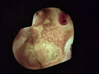 Polished Large Lemur Island Agate Hearts x 2 From Nosy Varika, Madagascar - Toprock Gemstones and Minerals 