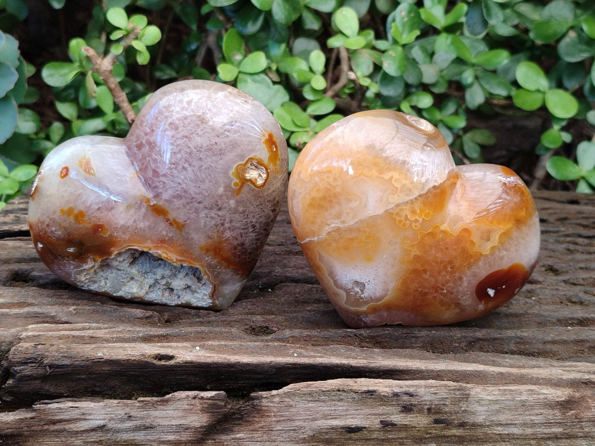 Polished Large Lemur Island Agate Hearts x 2 From Nosy Varika, Madagascar - Toprock Gemstones and Minerals 
