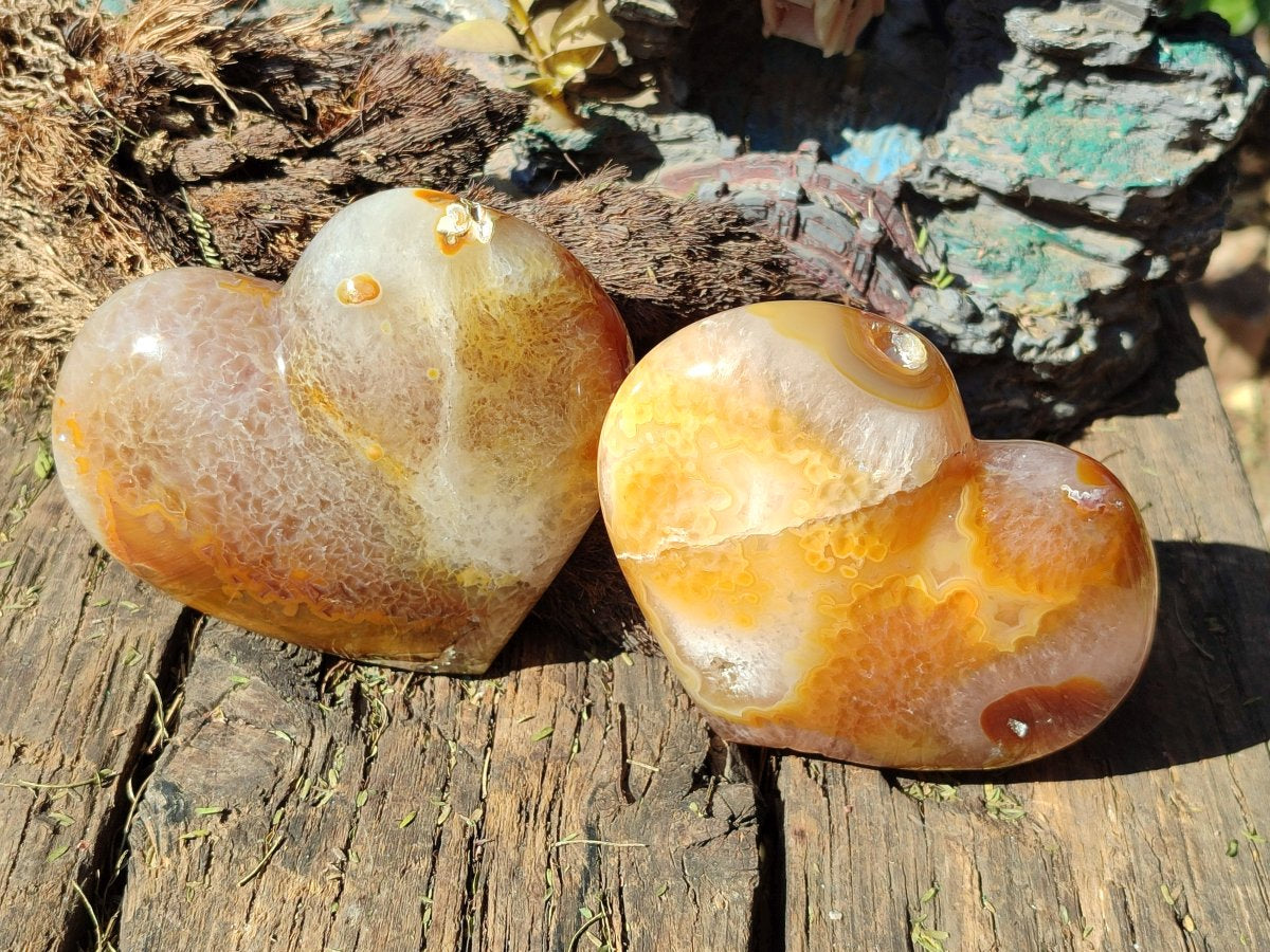 Polished Large Lemur Island Agate Hearts x 2 From Nosy Varika, Madagascar - Toprock Gemstones and Minerals 