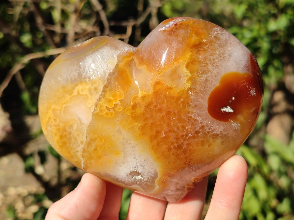 Polished Large Lemur Island Agate Hearts x 2 From Nosy Varika, Madagascar - Toprock Gemstones and Minerals 