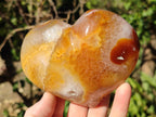 Polished Large Lemur Island Agate Hearts x 2 From Nosy Varika, Madagascar - Toprock Gemstones and Minerals 