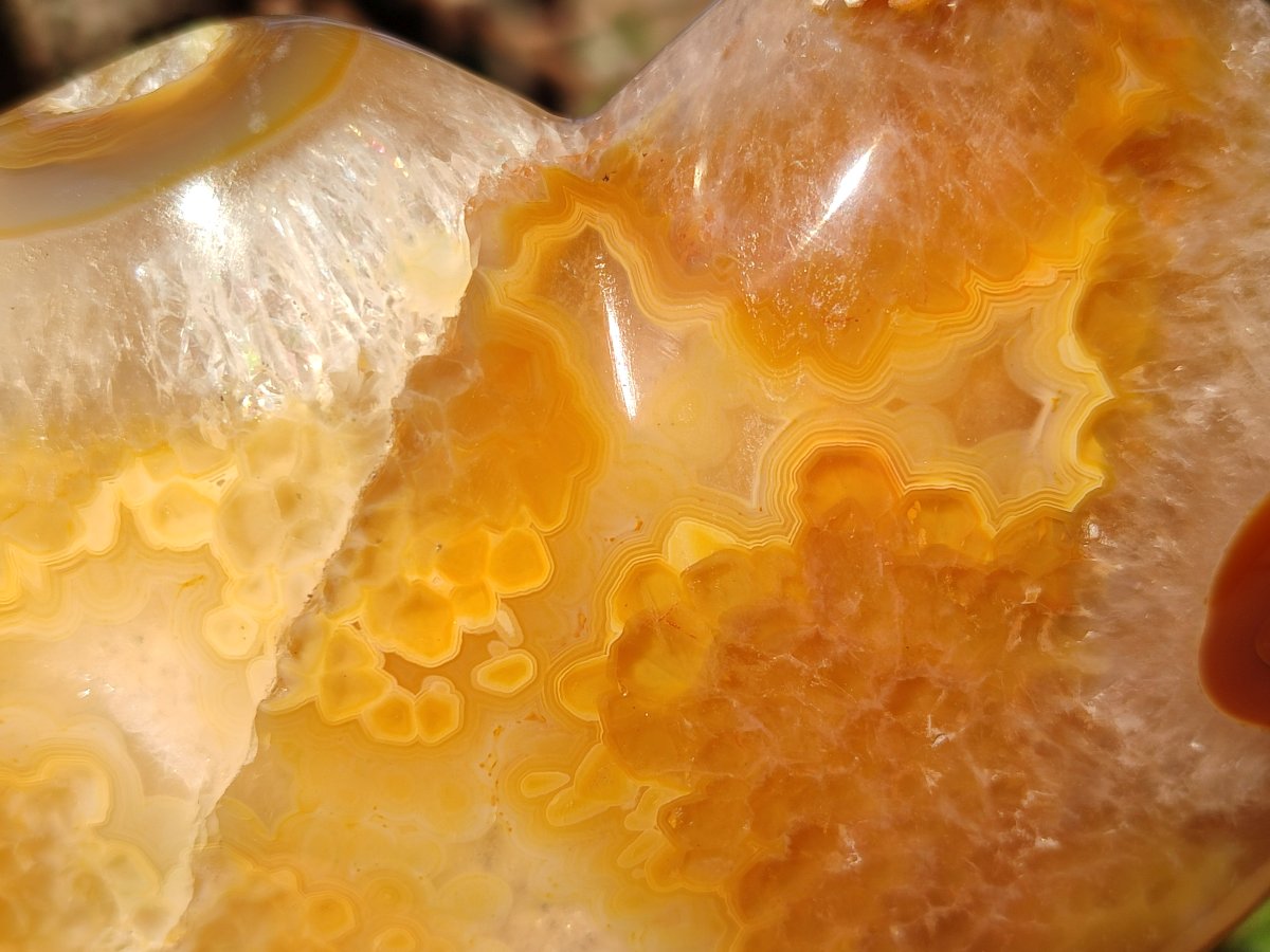 Polished Large Lemur Island Agate Hearts x 2 From Nosy Varika, Madagascar - Toprock Gemstones and Minerals 
