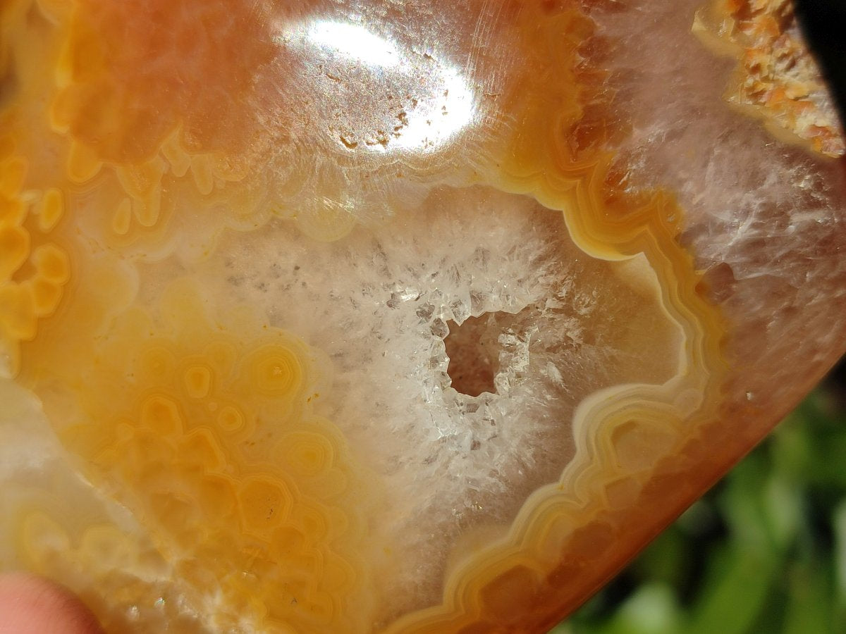 Polished Large Lemur Island Agate Hearts x 2 From Nosy Varika, Madagascar - Toprock Gemstones and Minerals 