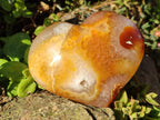 Polished Large Lemur Island Agate Hearts x 2 From Nosy Varika, Madagascar - Toprock Gemstones and Minerals 