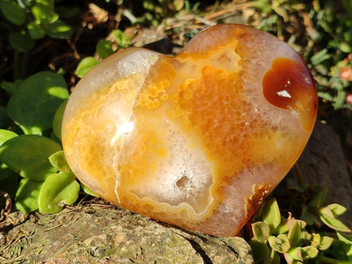 Polished Large Lemur Island Agate Hearts x 2 From Nosy Varika, Madagascar - Toprock Gemstones and Minerals 