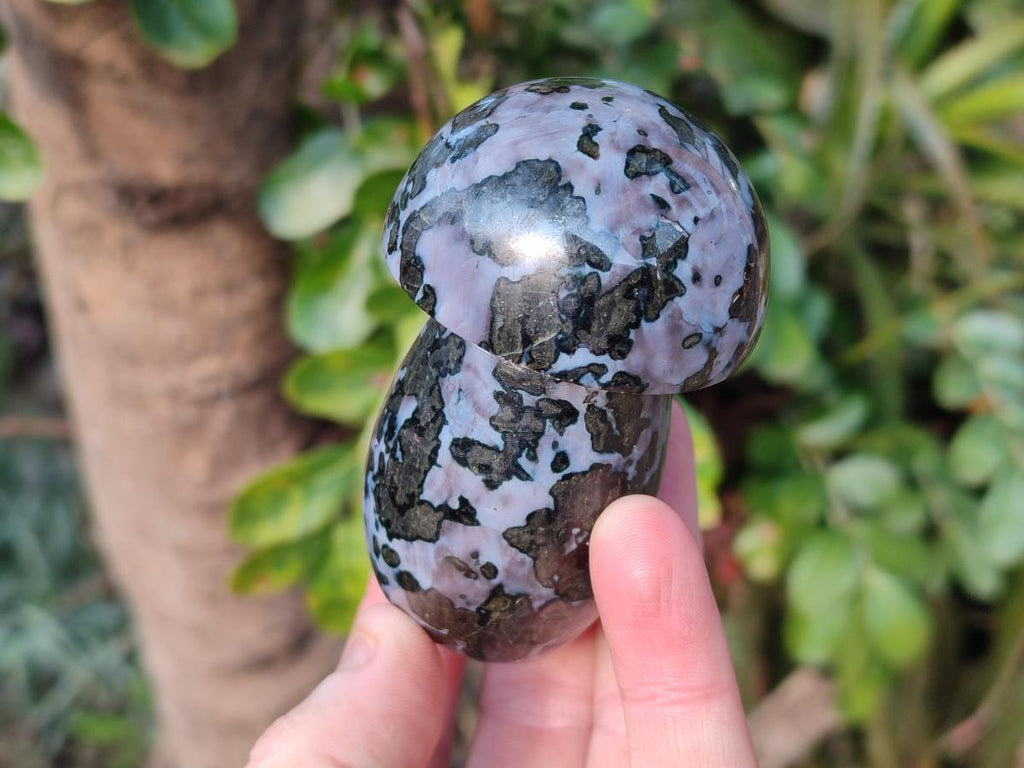 Polished Gabbro 'Merlinite' Mushrooms x 12 From Ambatofinandrahana, Madagascar - Toprock Gemstones and Minerals 