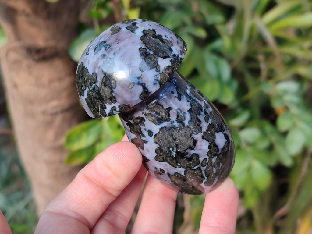 Polished Gabbro 'Merlinite' Mushrooms x 12 From Ambatofinandrahana, Madagascar - Toprock Gemstones and Minerals 