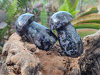 Polished Gabbro 'Merlinite' Mushrooms x 12 From Ambatofinandrahana, Madagascar - Toprock Gemstones and Minerals 
