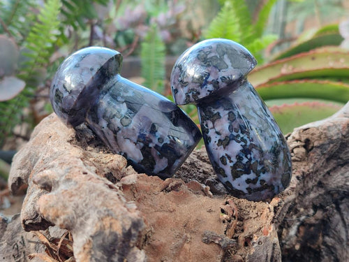 Polished Gabbro 'Merlinite' Mushrooms x 12 From Ambatofinandrahana, Madagascar - Toprock Gemstones and Minerals 