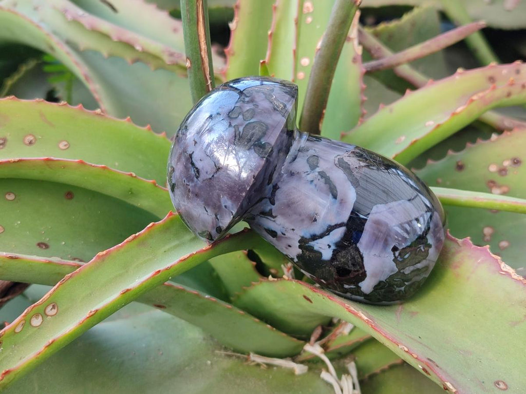 Polished Gabbro 'Merlinite' Mushrooms x 12 From Ambatofinandrahana, Madagascar - Toprock Gemstones and Minerals 