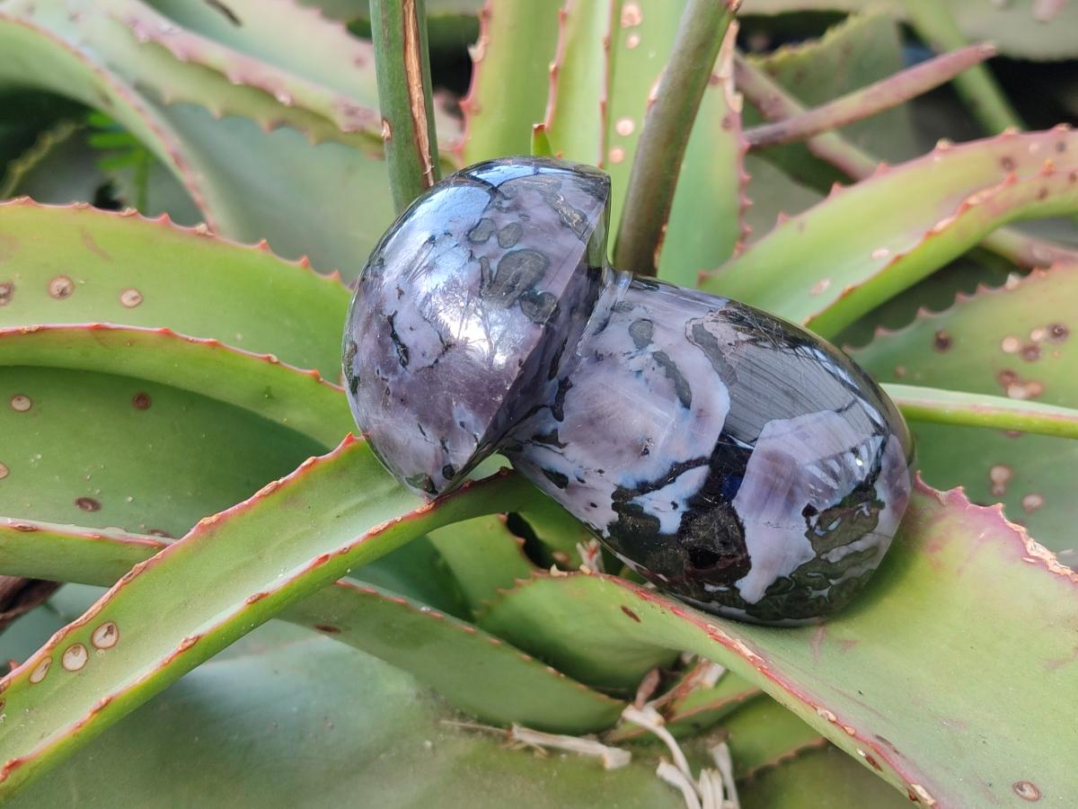 Polished Gabbro 'Merlinite' Mushrooms x 12 From Ambatofinandrahana, Madagascar - Toprock Gemstones and Minerals 