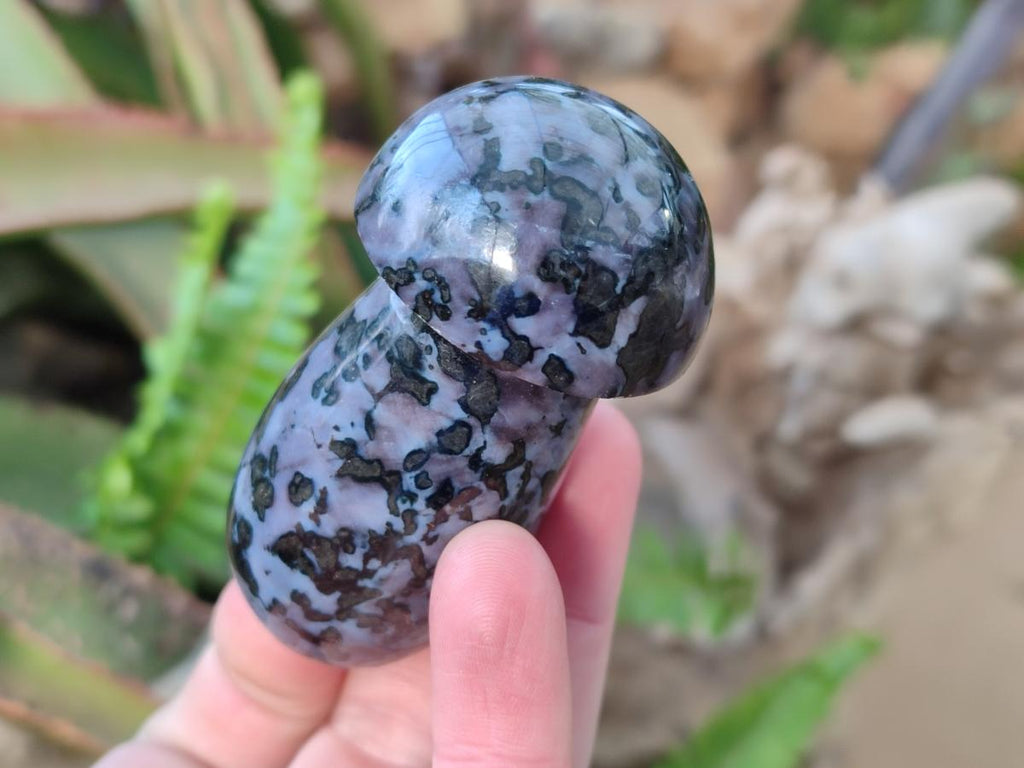 Polished Gabbro 'Merlinite' Mushrooms x 12 From Ambatofinandrahana, Madagascar - Toprock Gemstones and Minerals 