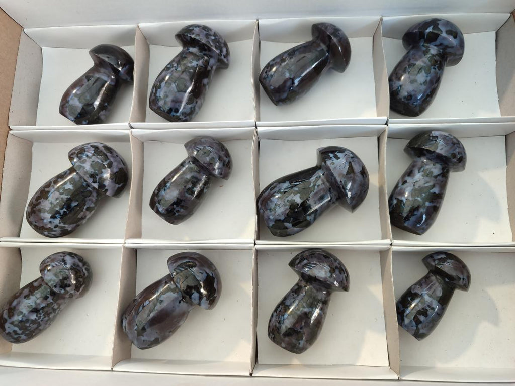 Polished Gabbro 'Merlinite' Mushrooms x 12 From Ambatofinandrahana, Madagascar - Toprock Gemstones and Minerals 