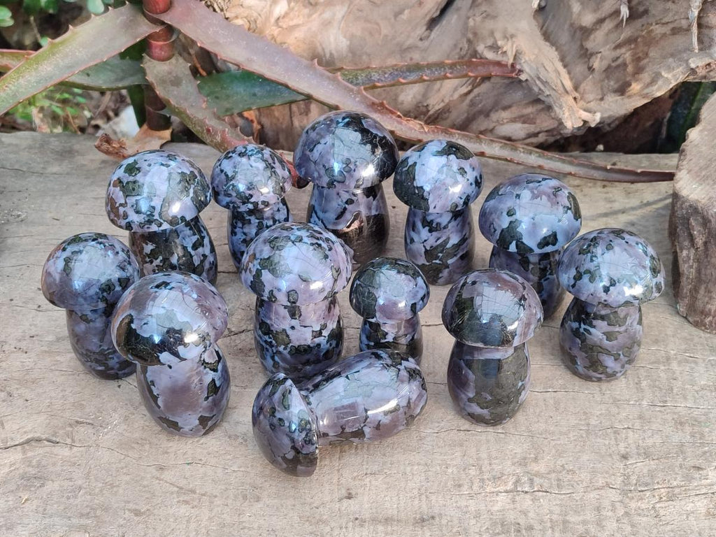 Polished Gabbro 'Merlinite' Mushrooms x 12 From Ambatofinandrahana, Madagascar - Toprock Gemstones and Minerals 