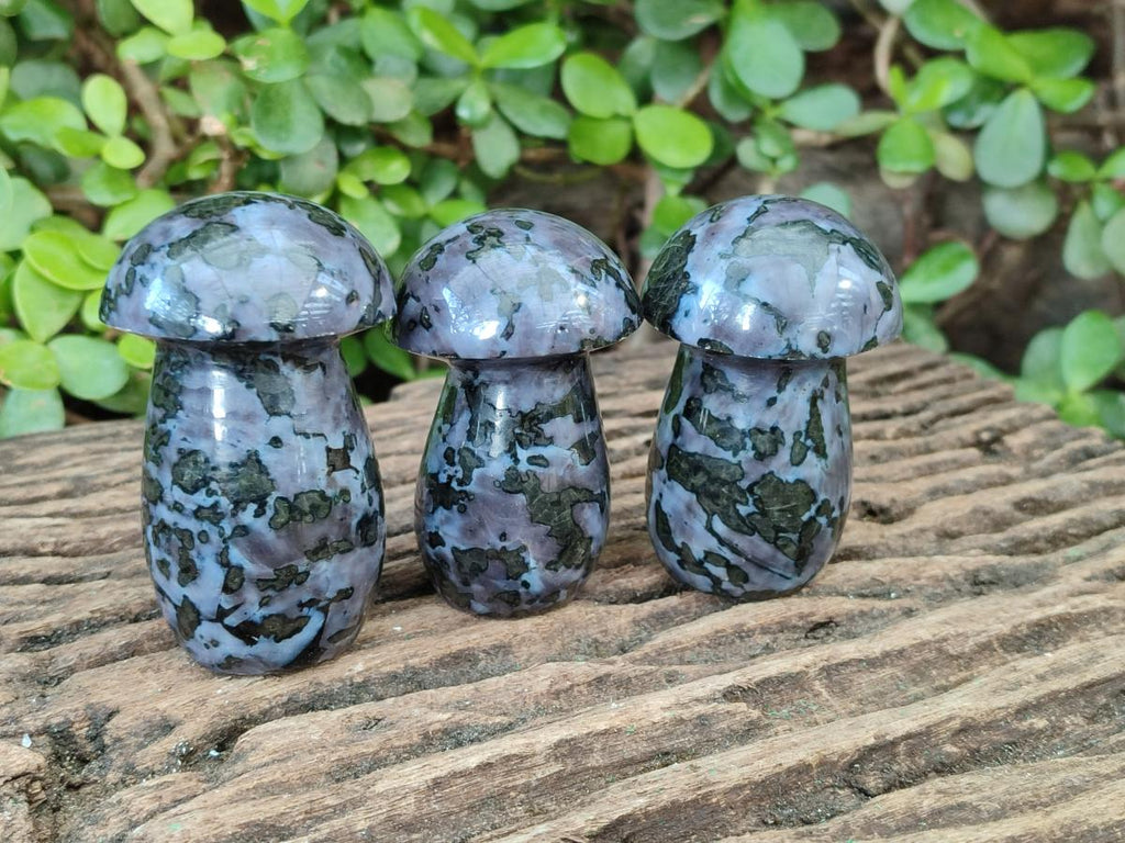 Polished Gabbro 'Merlinite' Mushrooms x 12 From Ambatofinandrahana, Madagascar - Toprock Gemstones and Minerals 