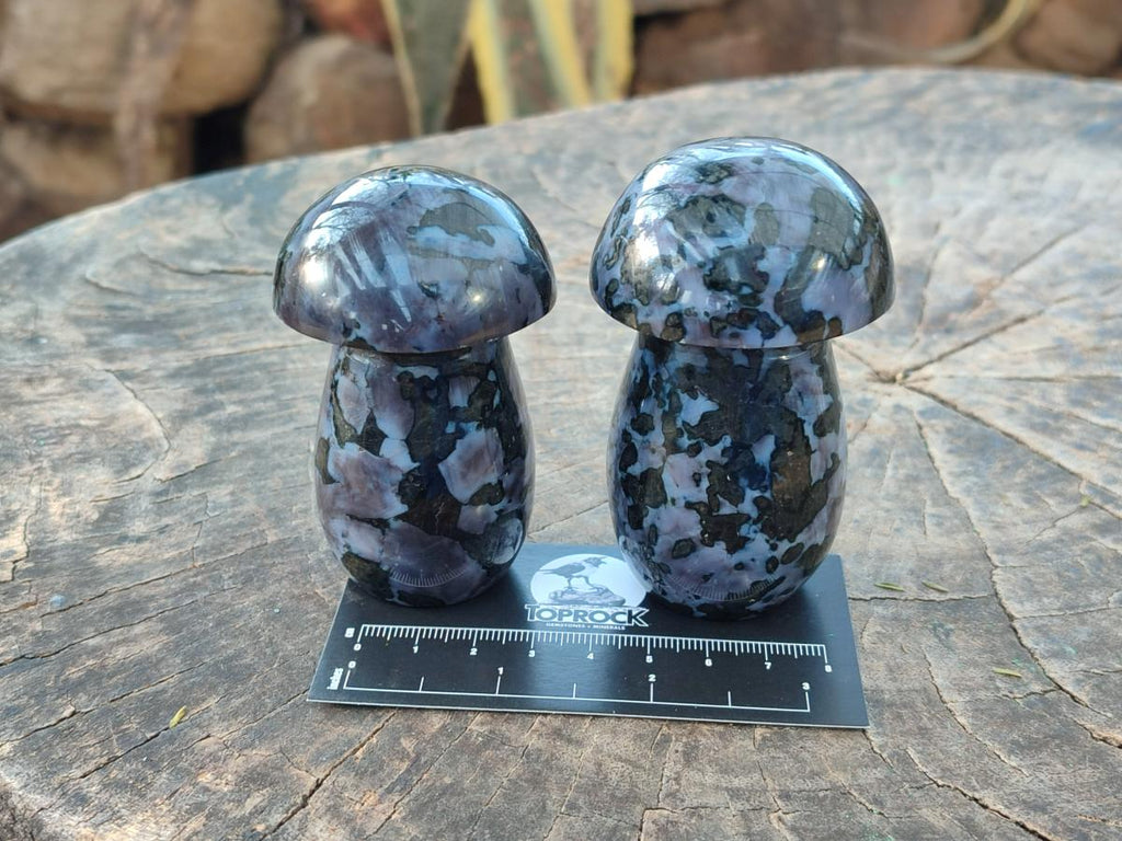 Polished Gabbro 'Merlinite' Mushrooms x 12 From Ambatofinandrahana, Madagascar - Toprock Gemstones and Minerals 