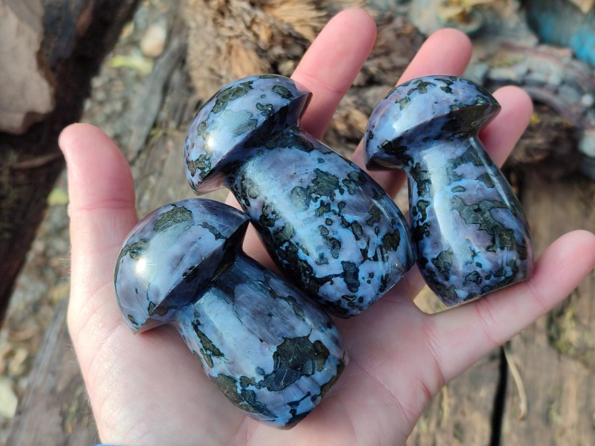 Polished Gabbro 'Merlinite' Mushrooms x 12 From Ambatofinandrahana, Madagascar - Toprock Gemstones and Minerals 