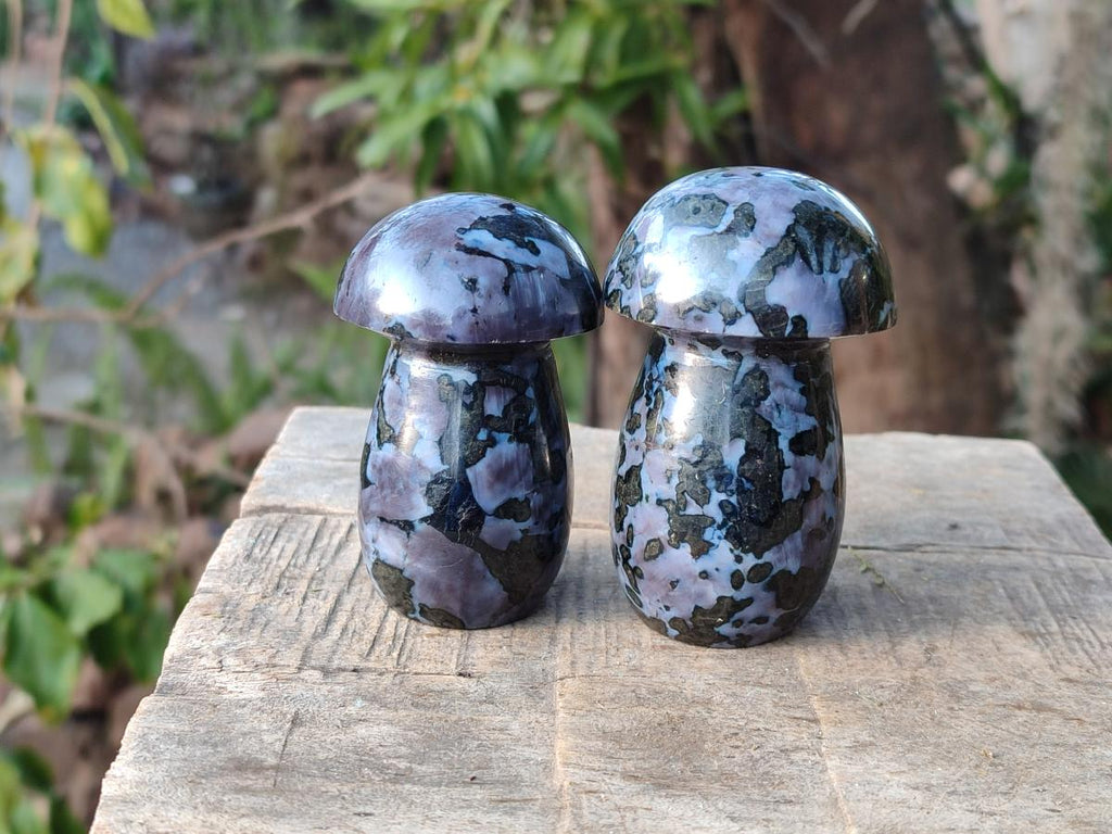 Polished Gabbro 'Merlinite' Mushrooms x 12 From Ambatofinandrahana, Madagascar - Toprock Gemstones and Minerals 
