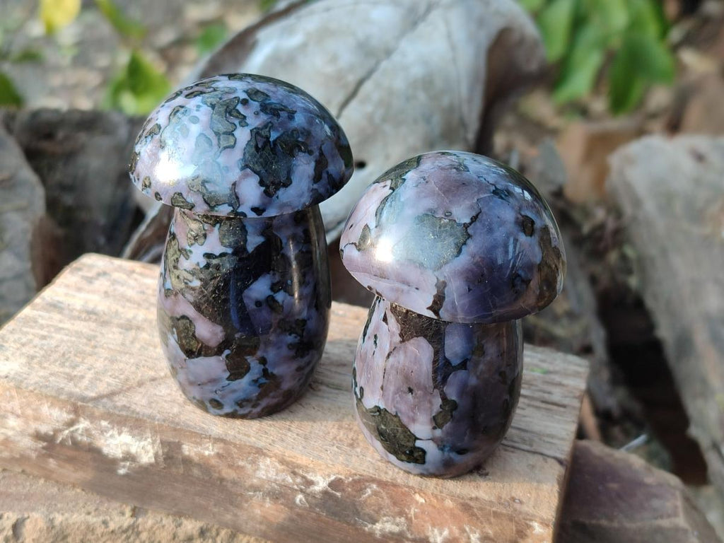 Polished Gabbro 'Merlinite' Mushrooms x 12 From Ambatofinandrahana, Madagascar - Toprock Gemstones and Minerals 