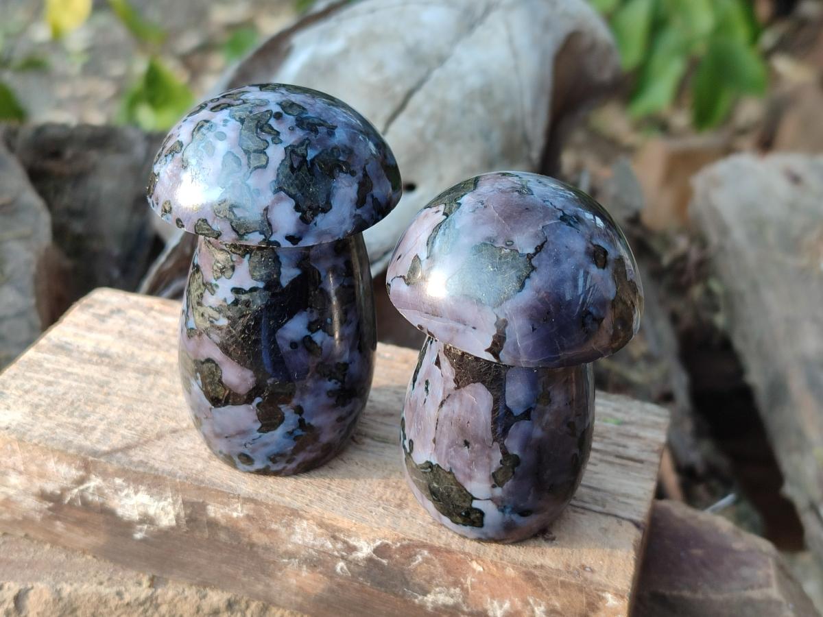 Polished Gabbro 'Merlinite' Mushrooms x 12 From Ambatofinandrahana, Madagascar - Toprock Gemstones and Minerals 