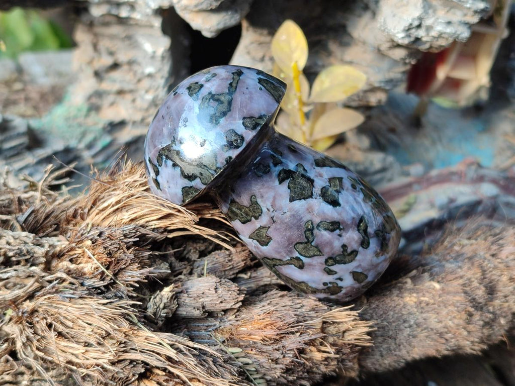 Polished Gabbro 'Merlinite' Mushrooms x 12 From Ambatofinandrahana, Madagascar - Toprock Gemstones and Minerals 