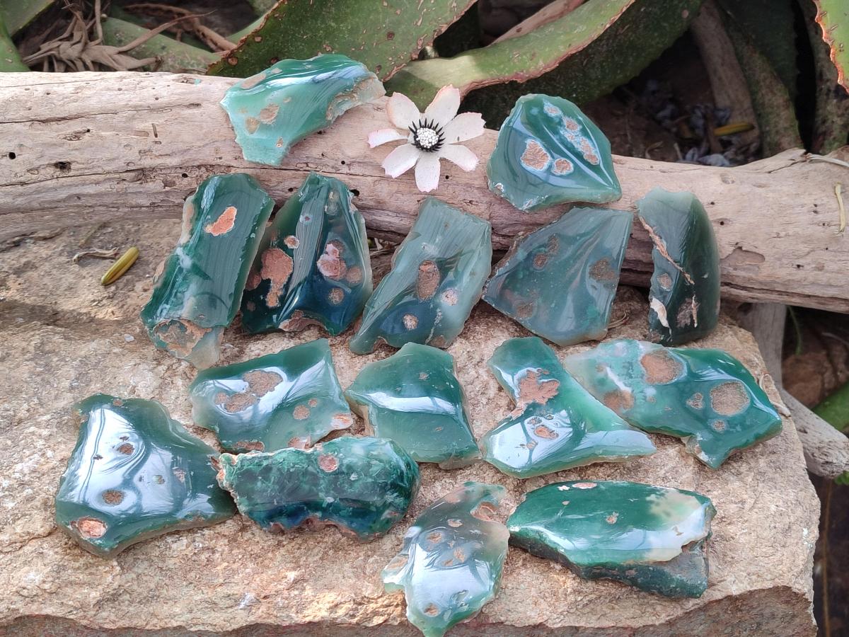 Polished on One Side Mtorolite Chrysoprase Slices x 35 From Mutorashanga, Zimbabwe - Toprock Gemstones and Minerals 