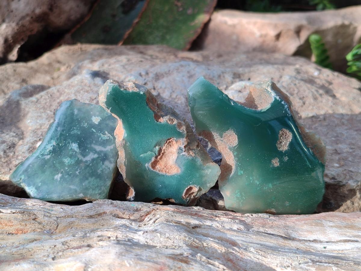 Polished on One Side Mtorolite Chrysoprase Slices x 35 From Mutorashanga, Zimbabwe - Toprock Gemstones and Minerals 