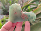 Polished on One Side Mtorolite Chrysoprase Slices x 35 From Mutorashanga, Zimbabwe - Toprock Gemstones and Minerals 