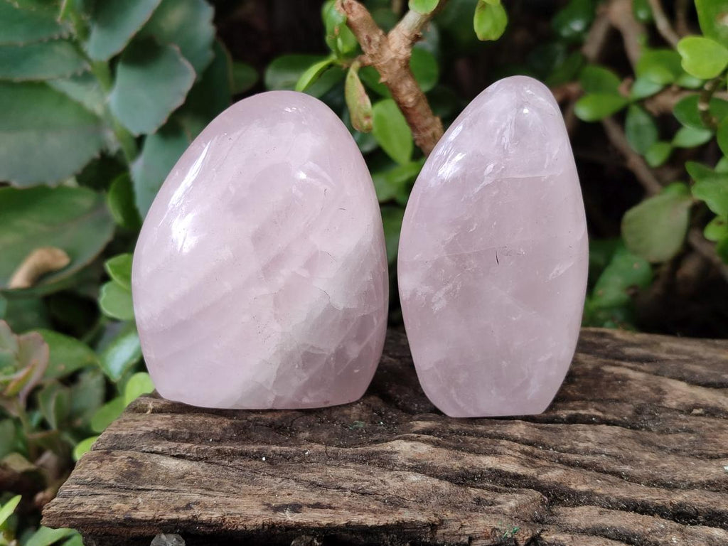 Polished Gemmy Rose Quartz Standing Display Pieces x 19 From Zimbabwe - Toprock Gemstones and Minerals 