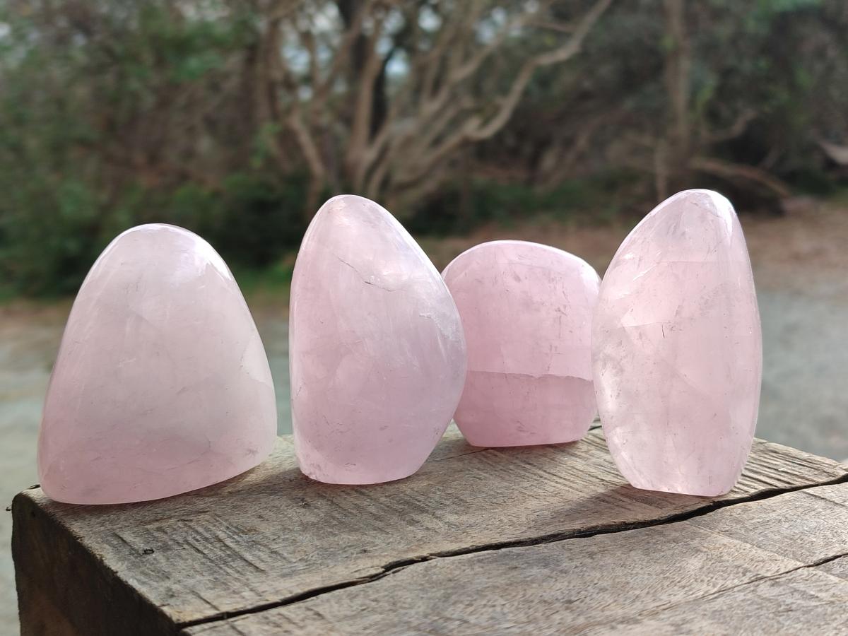Polished Gemmy Rose Quartz Standing Display Pieces x 19 From Zimbabwe - Toprock Gemstones and Minerals 