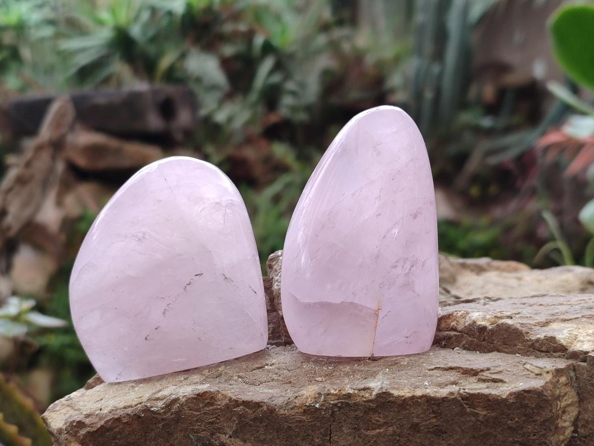 Polished Gemmy Rose Quartz Standing Display Pieces x 19 From Zimbabwe - Toprock Gemstones and Minerals 