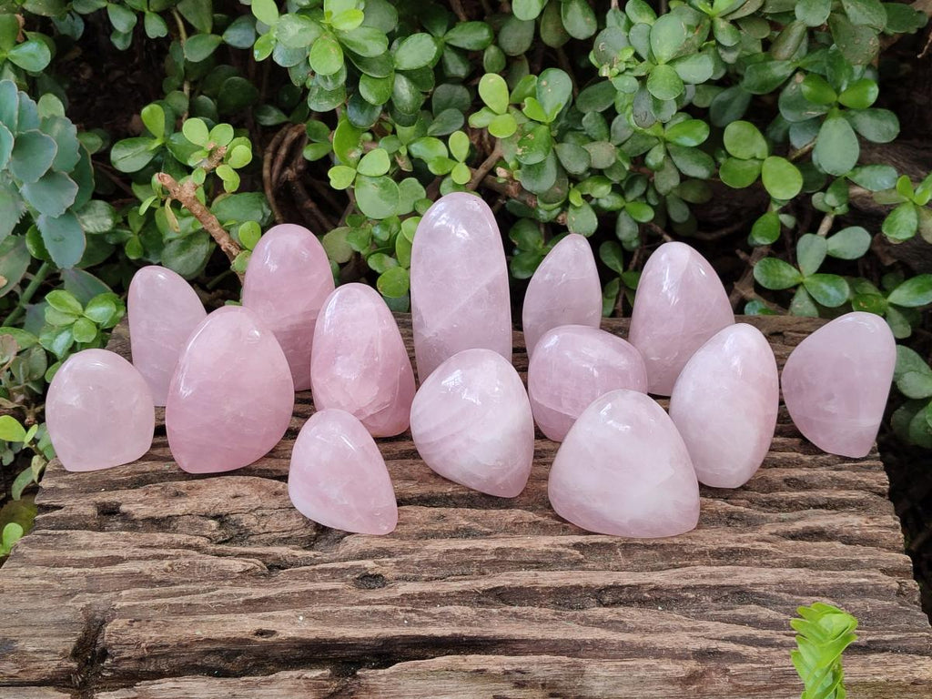 Polished Gemmy Rose Quartz Standing Display Pieces x 19 From Zimbabwe - Toprock Gemstones and Minerals 