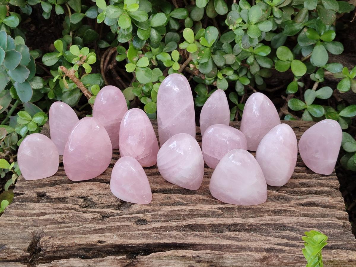 Polished Gemmy Rose Quartz Standing Display Pieces x 19 From Zimbabwe - Toprock Gemstones and Minerals 