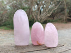 Polished Gemmy Rose Quartz Standing Display Pieces x 19 From Zimbabwe - Toprock Gemstones and Minerals 
