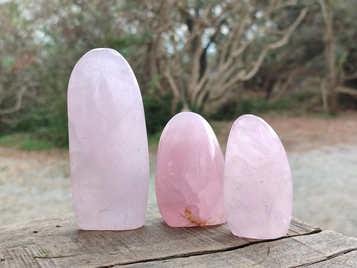 Polished Gemmy Rose Quartz Standing Display Pieces x 19 From Zimbabwe - Toprock Gemstones and Minerals 